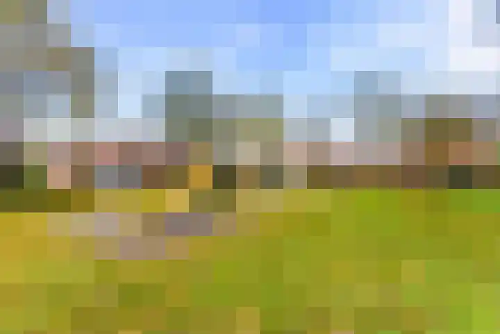 Kolkgriend 171 Almere thumbnail 57