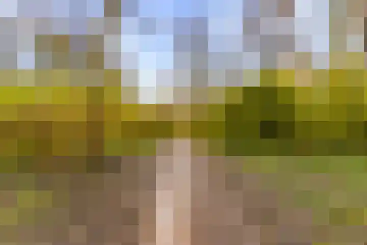 Kolkgriend 171 Almere thumbnail 58