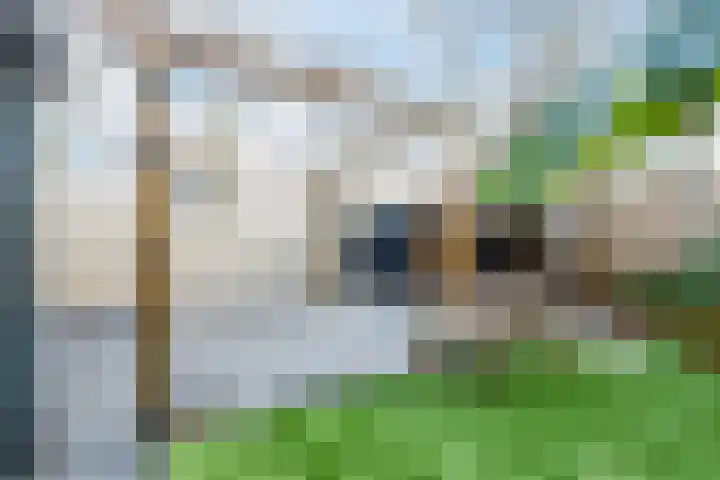Kolkgriend 179 Almere thumbnail 36