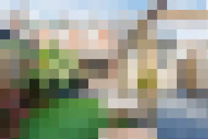 Kolkgriend 179 Almere thumbnail 39