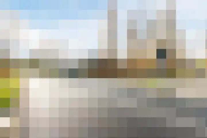 Kolkgriend 179 Almere thumbnail 49