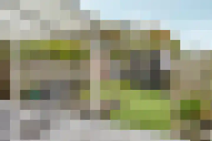 Kolkgriend 207 Almere thumbnail 26