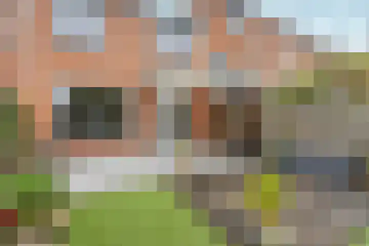 Kolkgriend 207 Almere thumbnail 27