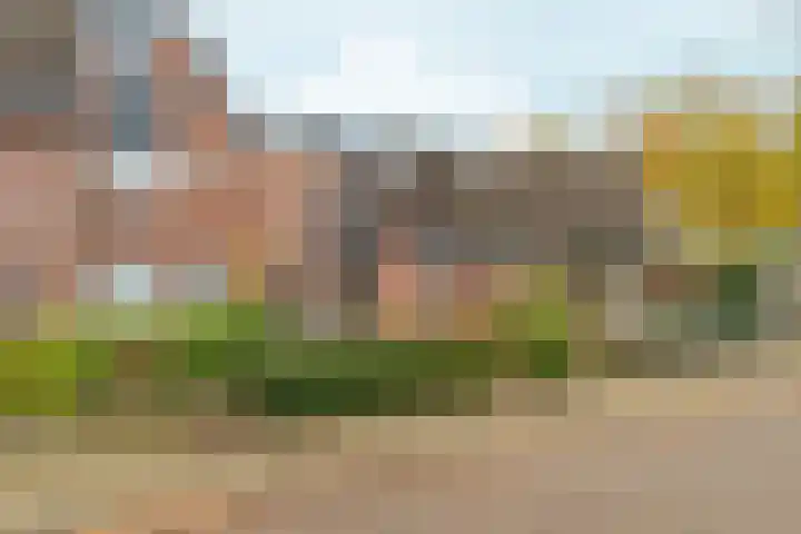 Kolkgriend 207 Almere thumbnail 28