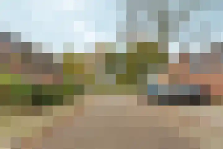 Kolkgriend 207 Almere thumbnail 29