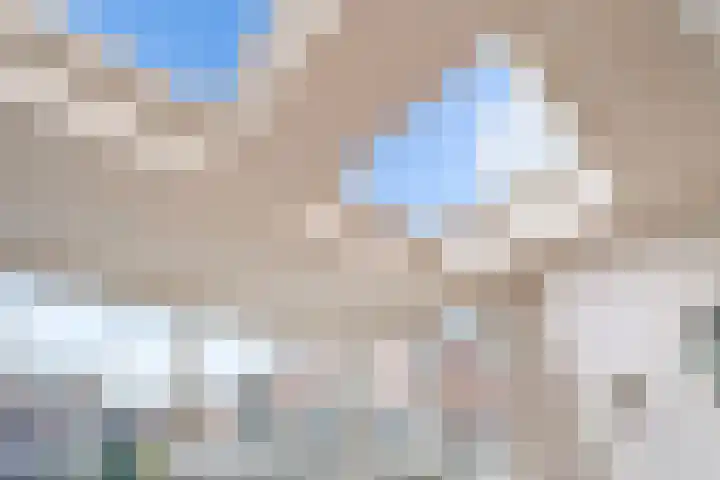Kolkgriend 21 Almere thumbnail 18