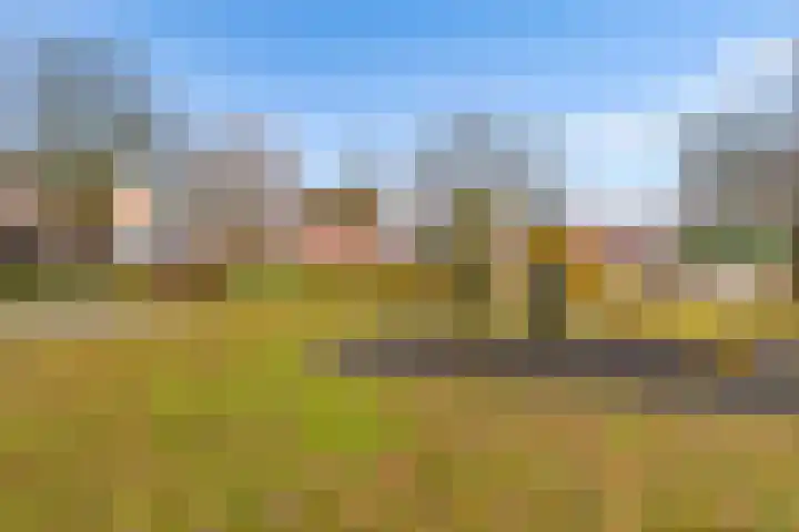 Kolkgriend 21 Almere thumbnail 47