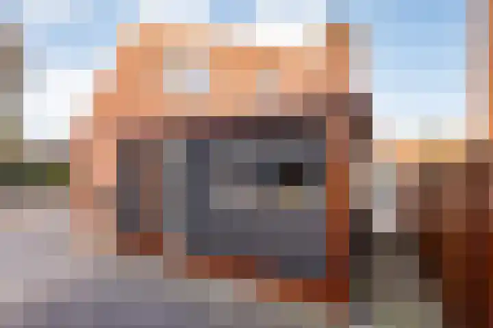 Kolkgriend 22 Almere thumbnail 4