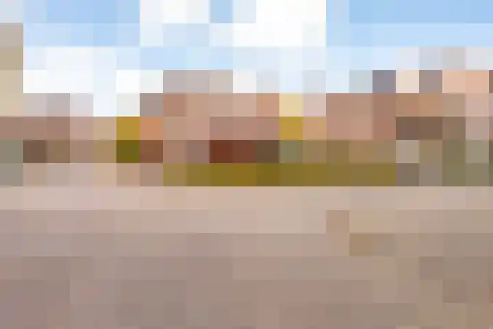 Kolkgriend 22 Almere thumbnail 50