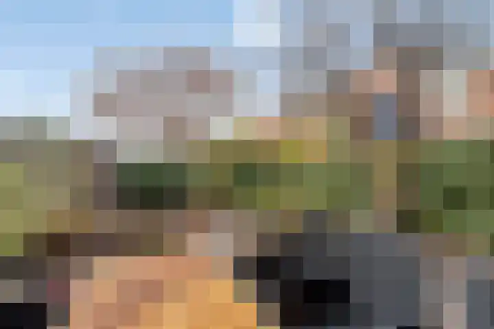 Kolkgriend 34 Almere thumbnail 27