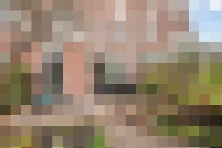 Kolkgriend 34 Almere thumbnail 31