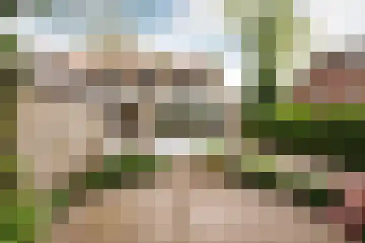 Kolkgriend 34 Almere thumbnail 9