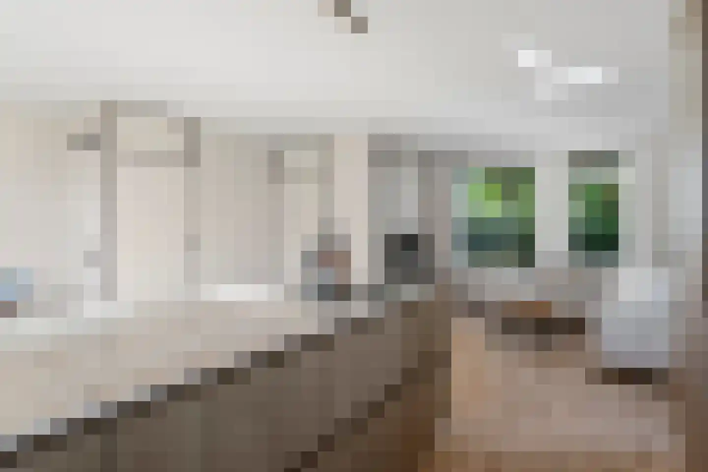 Kolkgriend 36 Almere thumbnail 21