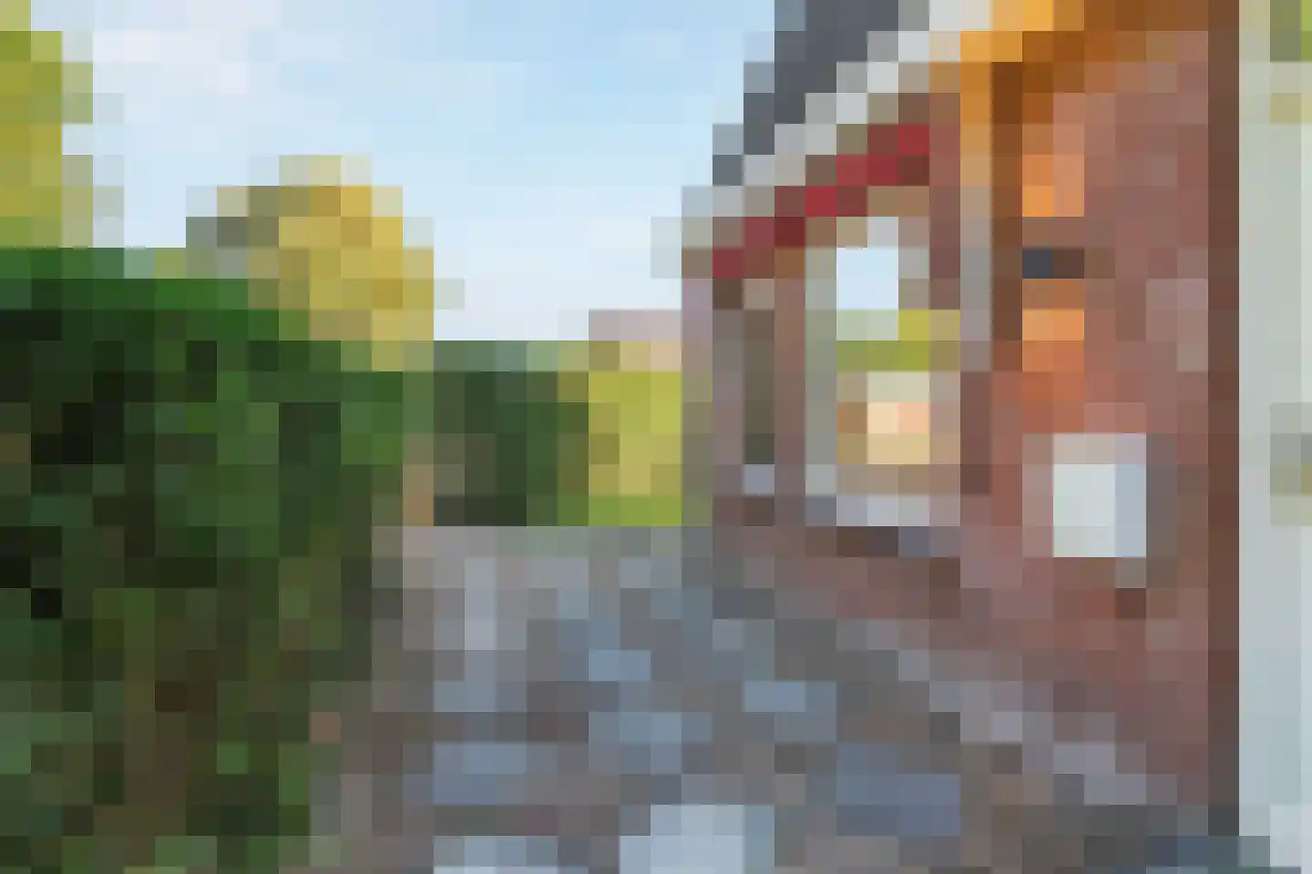 Kolkgriend 36 Almere thumbnail 7