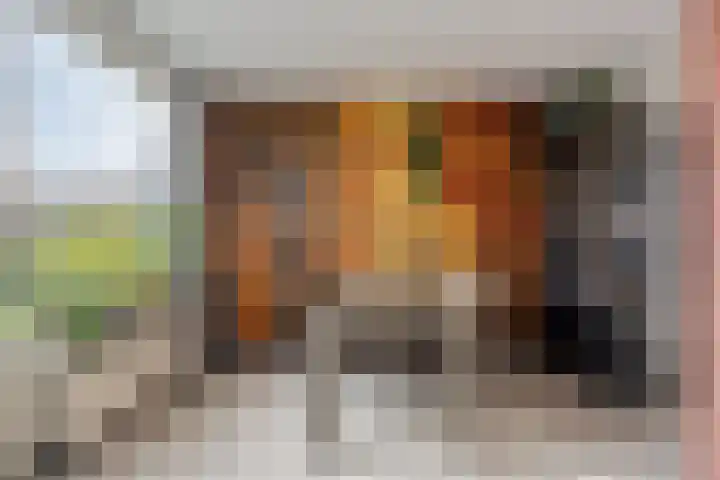Kolkgriend 4 Almere thumbnail 11