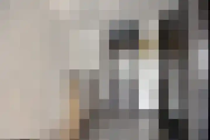 Kolkgriend 4 Almere thumbnail 15