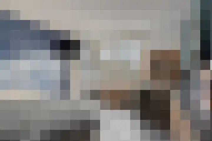 Kolkgriend 4 Almere thumbnail 16