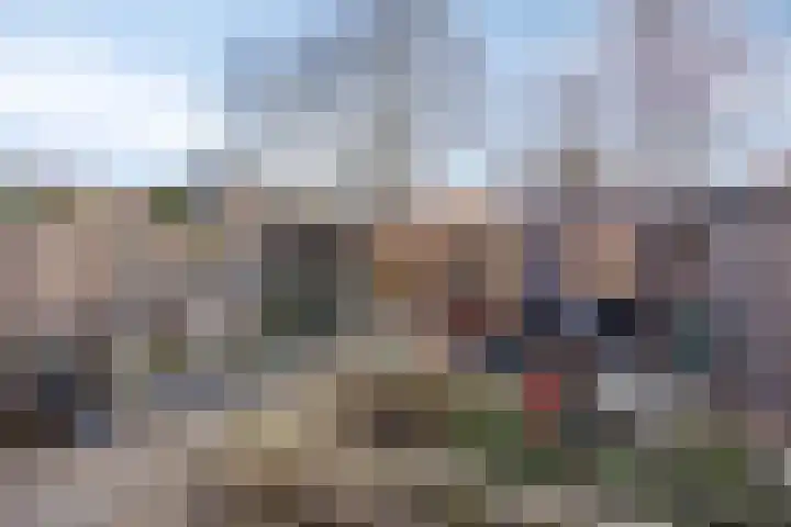Kolkgriend 4 Almere thumbnail 26
