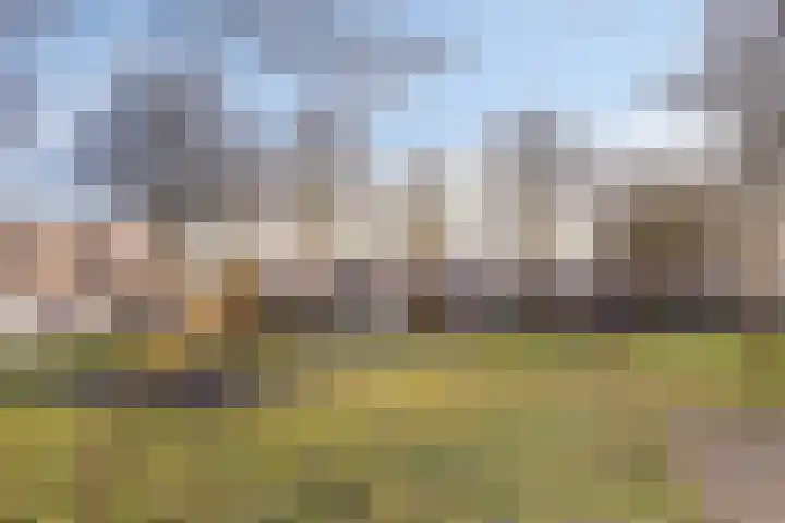 Kolkgriend 4 Almere thumbnail 31