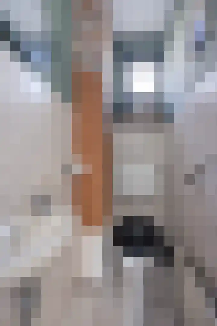 Kolkgriend 4 Almere thumbnail 6