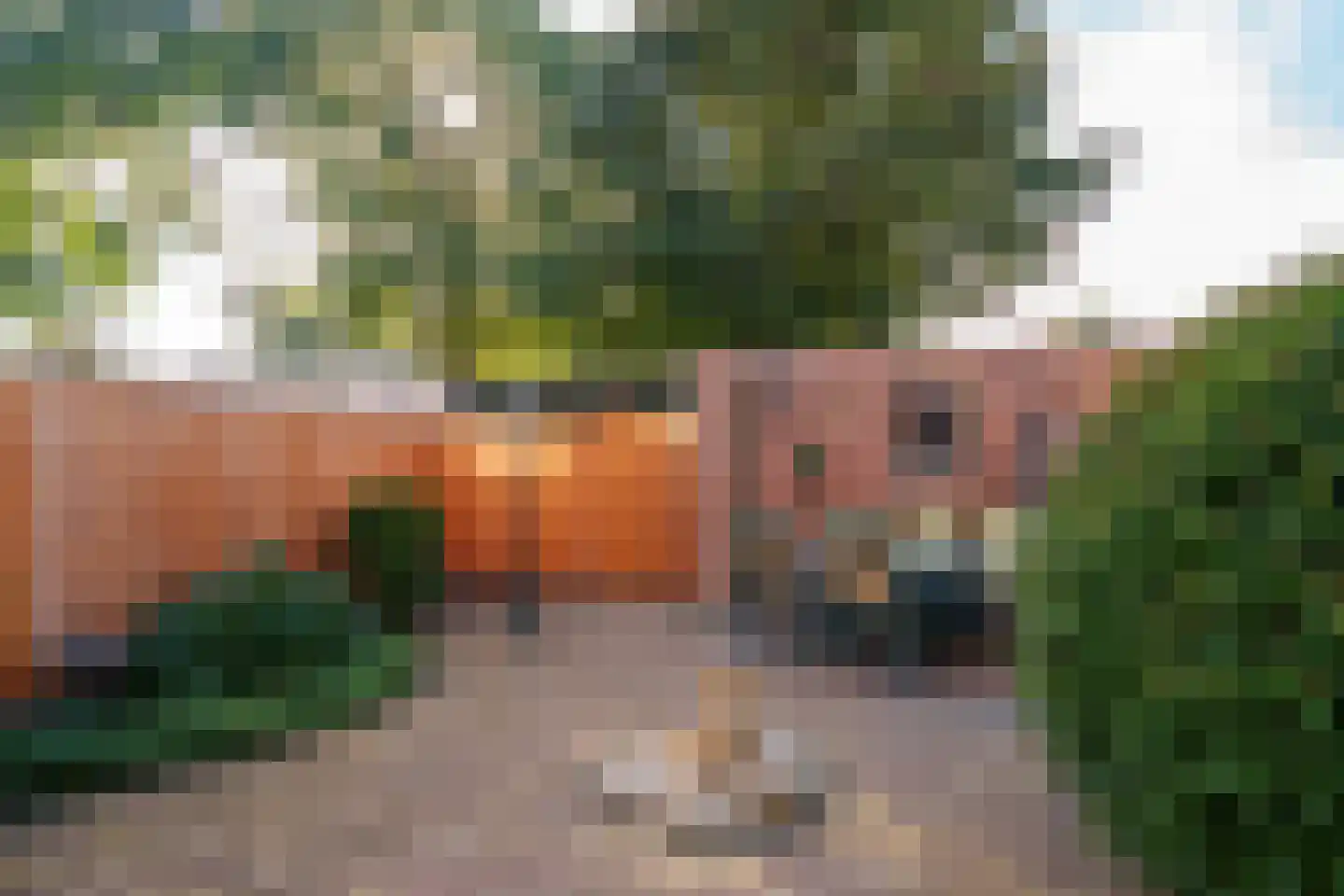 Kolkgriend 47 Almere thumbnail 27