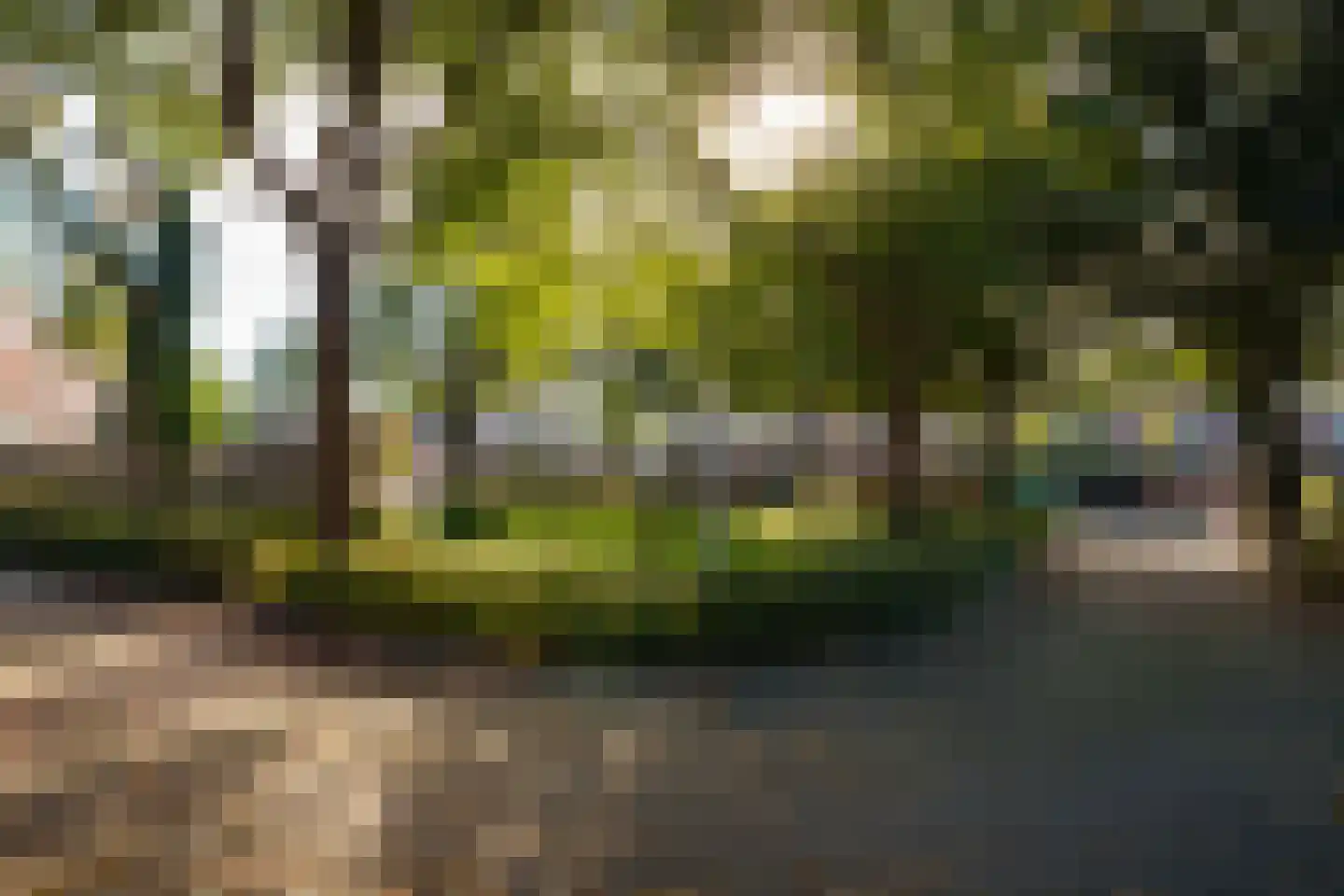 Kolkgriend 47 Almere thumbnail 32
