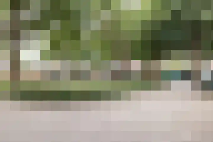 Kolkgriend 55 Almere thumbnail 47