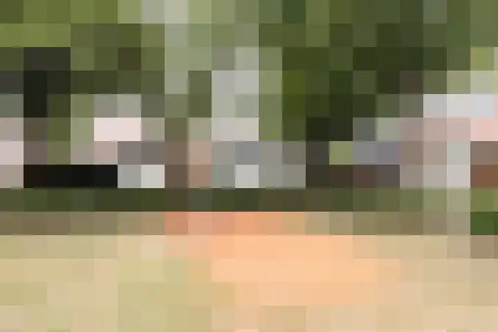 Kolkgriend 55 Almere thumbnail 48