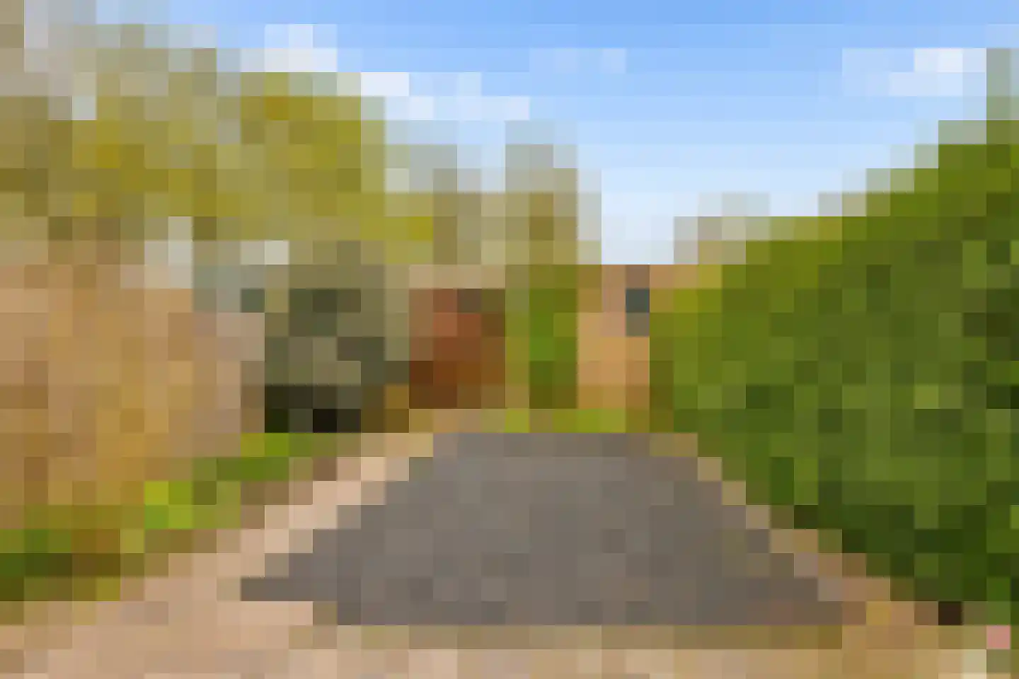 Kolkgriend 59 Almere thumbnail 42