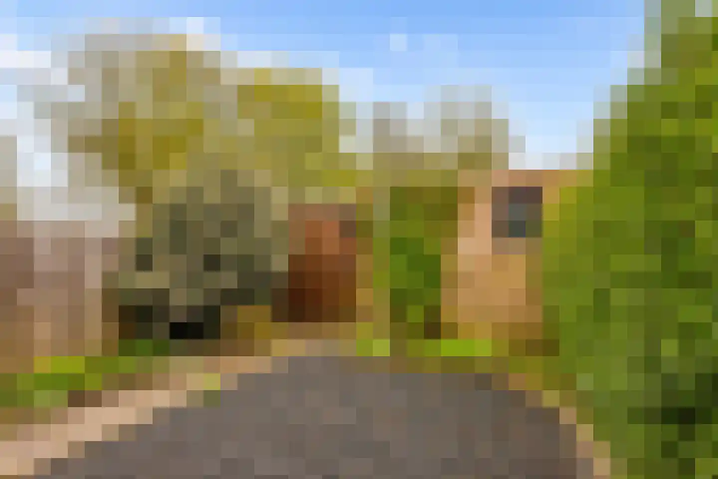 Kolkgriend 59 Almere thumbnail 46