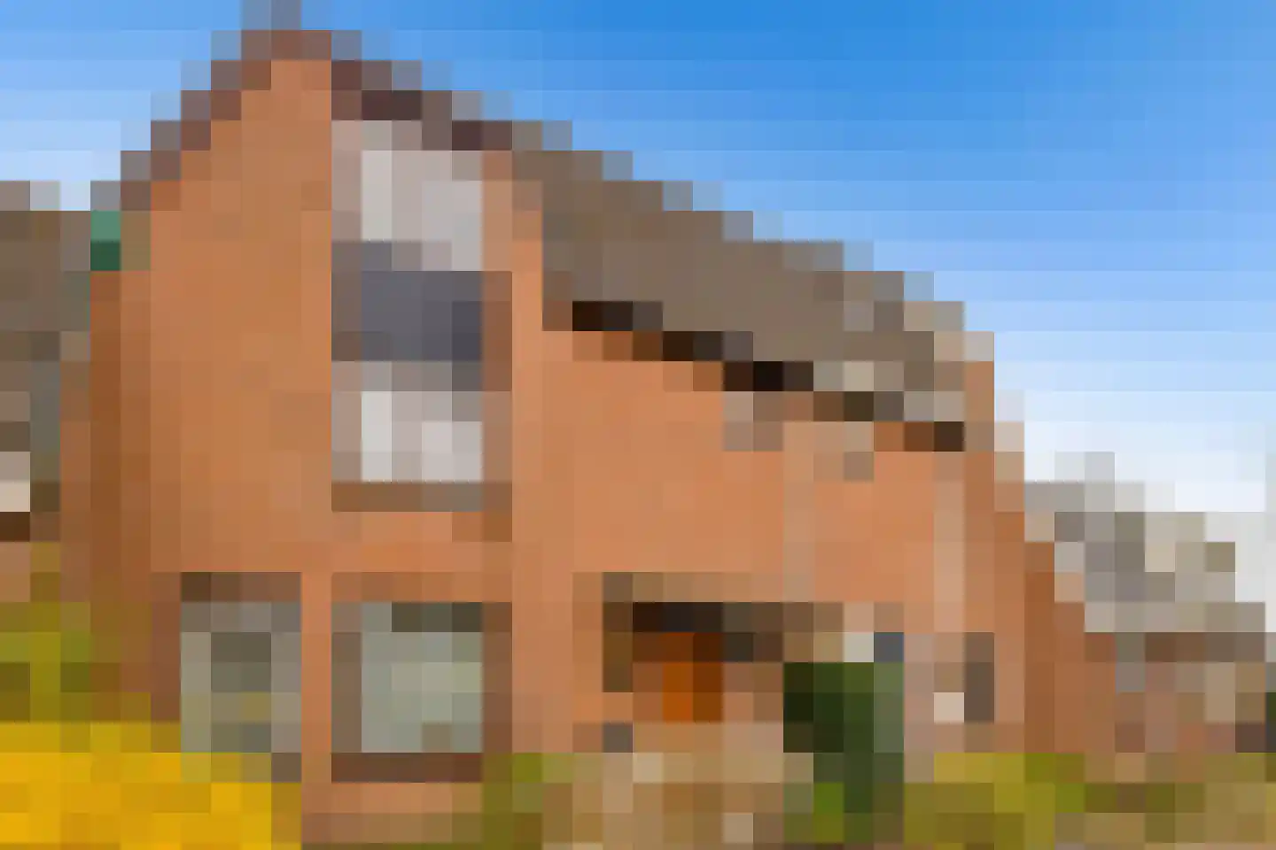 Kolkgriend 59 Almere thumbnail 53