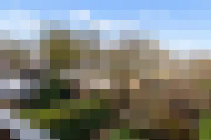 Kolkgriend 60 Almere thumbnail 18