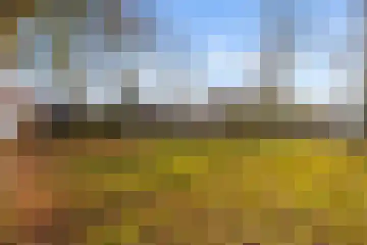 Kolkgriend 60 Almere thumbnail 34