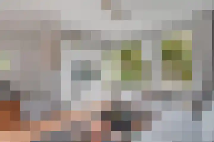 Kolkgriend 92 Almere thumbnail 13