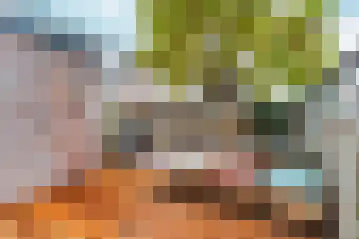 Kolkgriend 92 Almere thumbnail 21