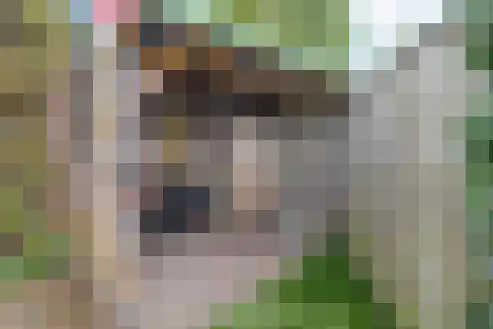 Kolkgriend 92 Almere thumbnail 38