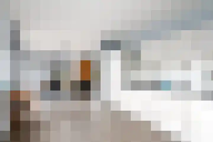 Kolkgriend 92 Almere thumbnail 51