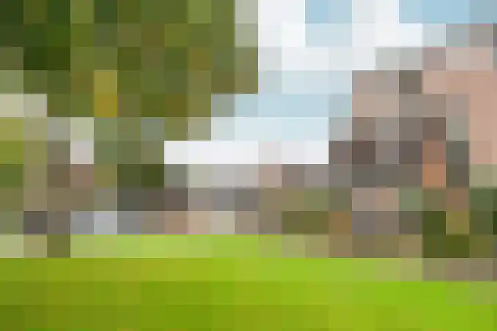 Kolkgriend 92 Almere thumbnail 73