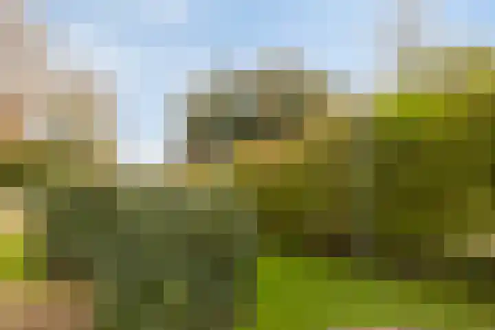Kolkgriend 92 Almere thumbnail 74