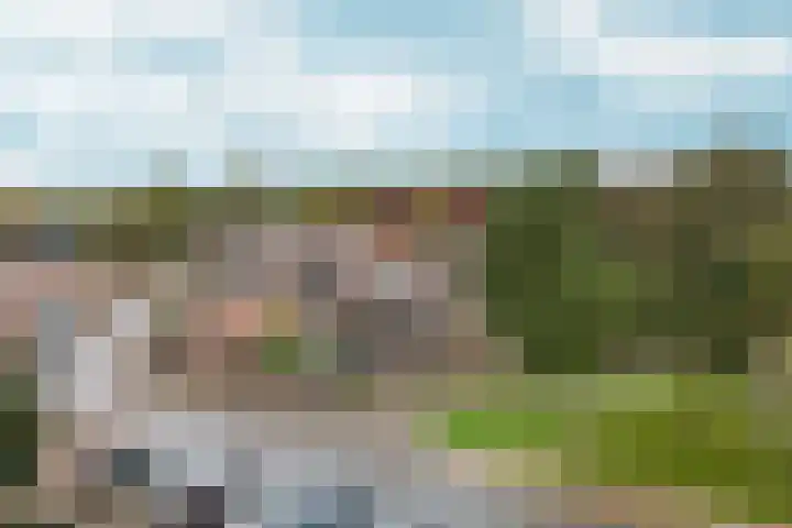 Kolkgriend 92 Almere thumbnail 78