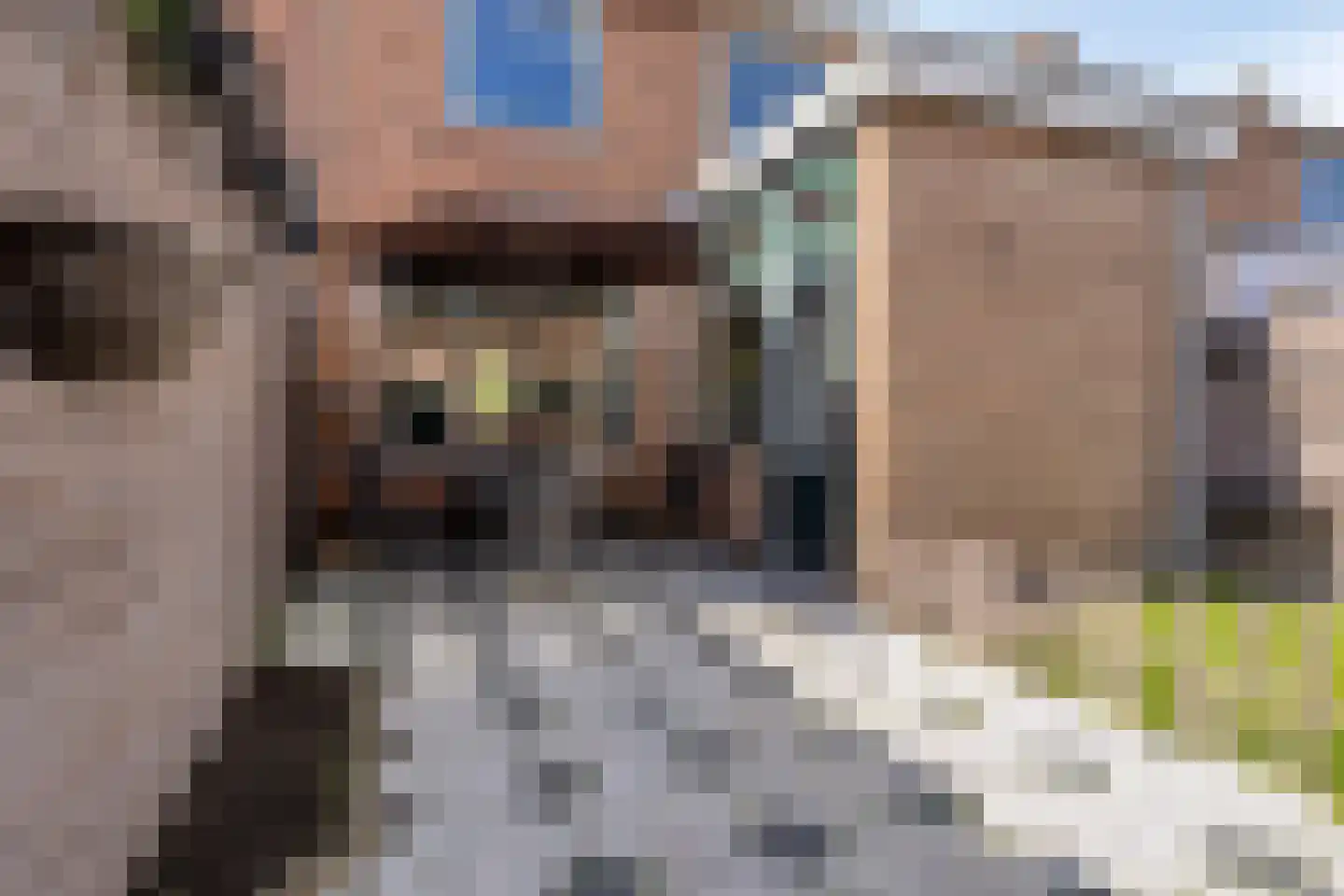 Kolkkamp 17 Bunschoten-Spakenburg thumbnail 24