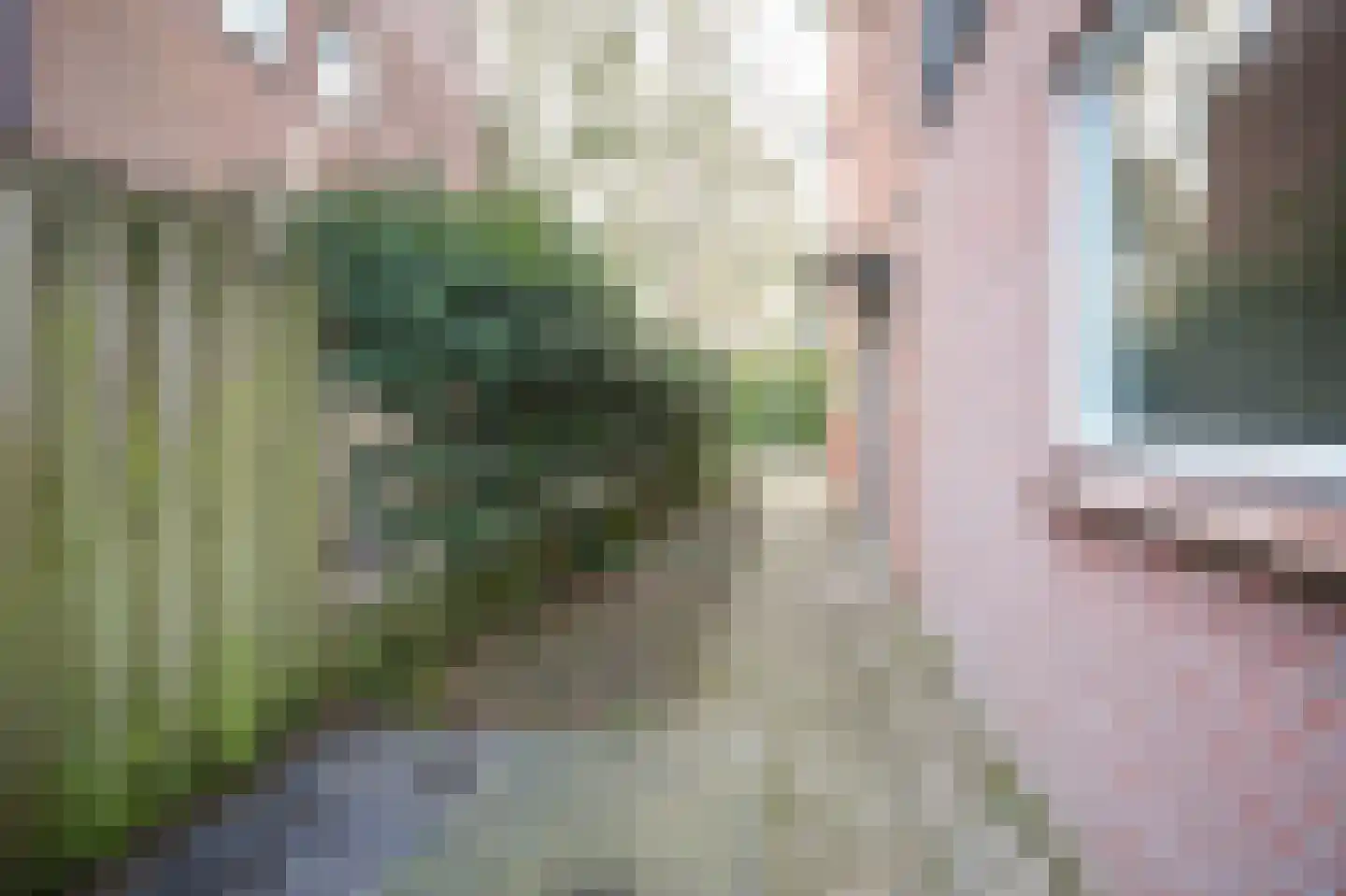 Kolklaan 27 Maarsbergen thumbnail 36