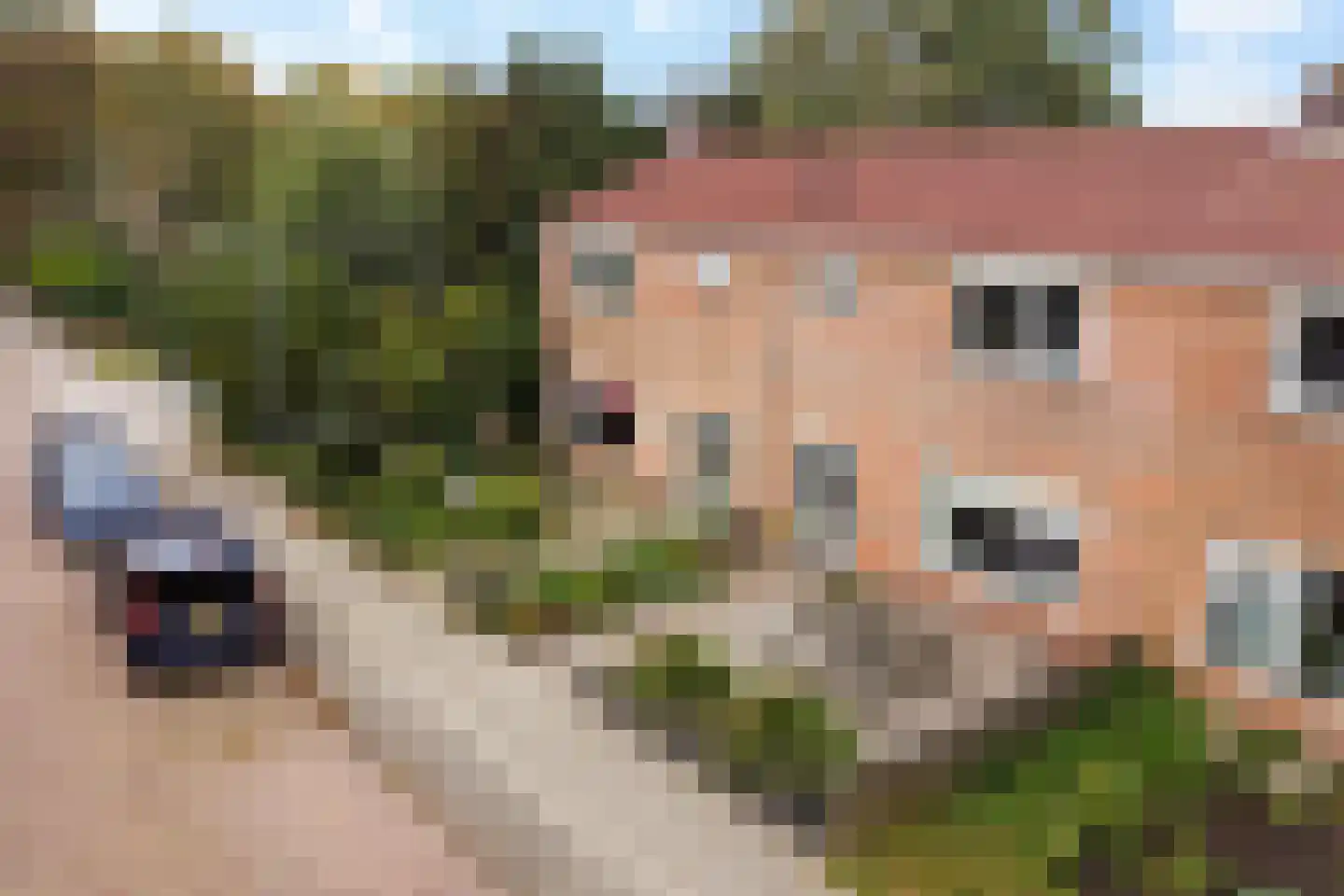 Kolklaan 3 Heerenveen thumbnail 46