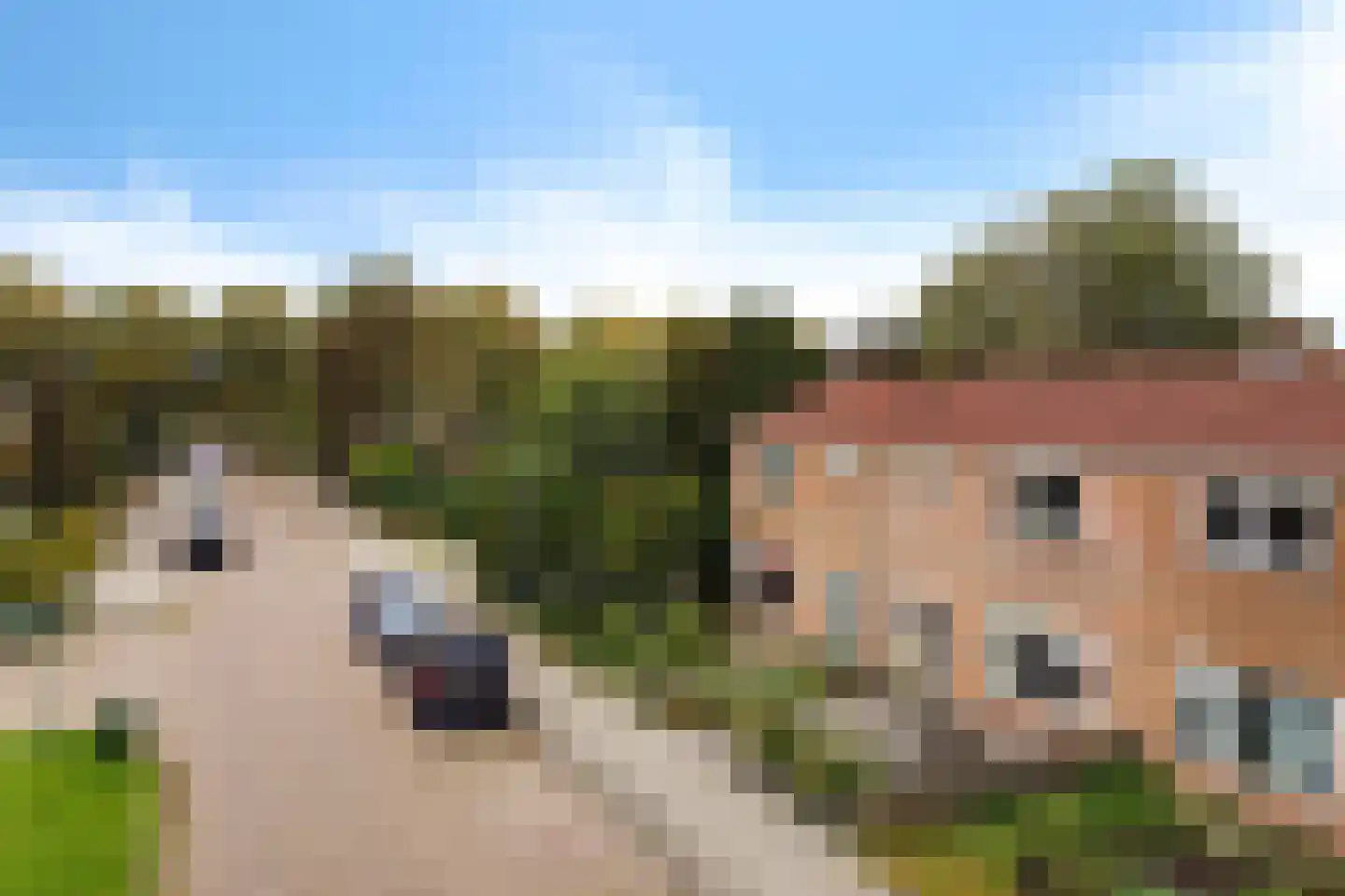 Kolklaan 3 Heerenveen thumbnail 47