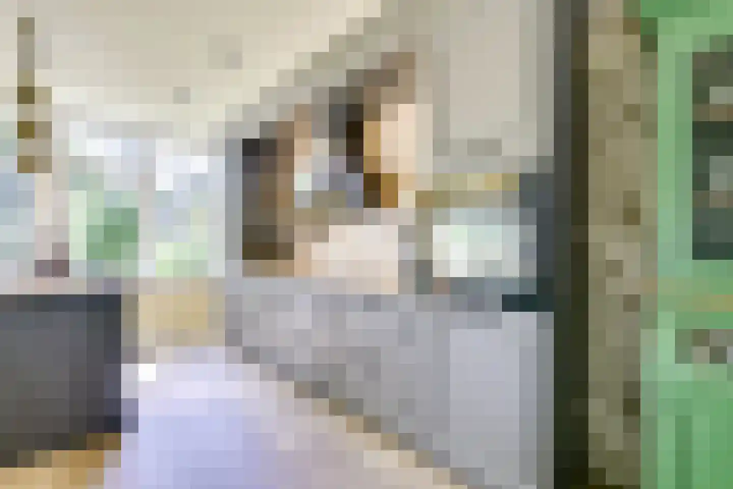 Kolklaan 39 Maarsbergen thumbnail 18