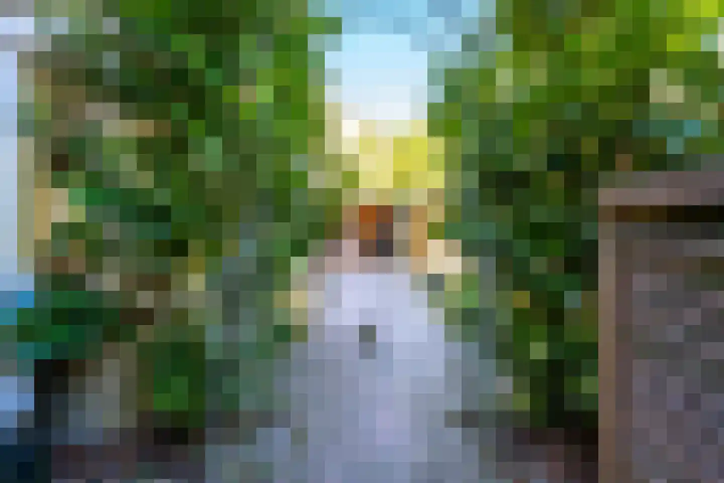 Kolklaan 39 Maarsbergen thumbnail 25