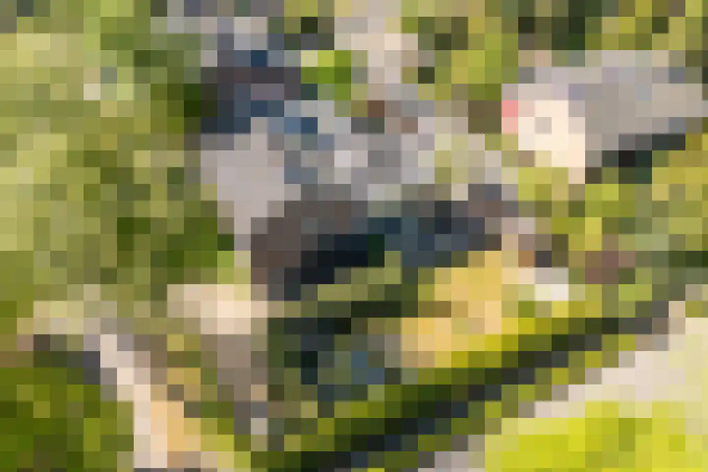 Kolklaan 39 Maarsbergen thumbnail 64