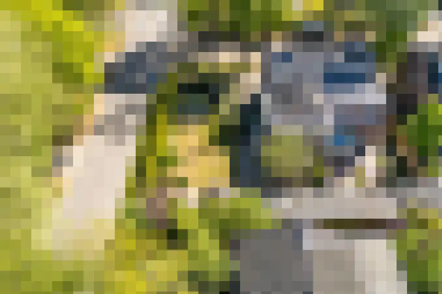 Kolklaan 39 Maarsbergen thumbnail 65