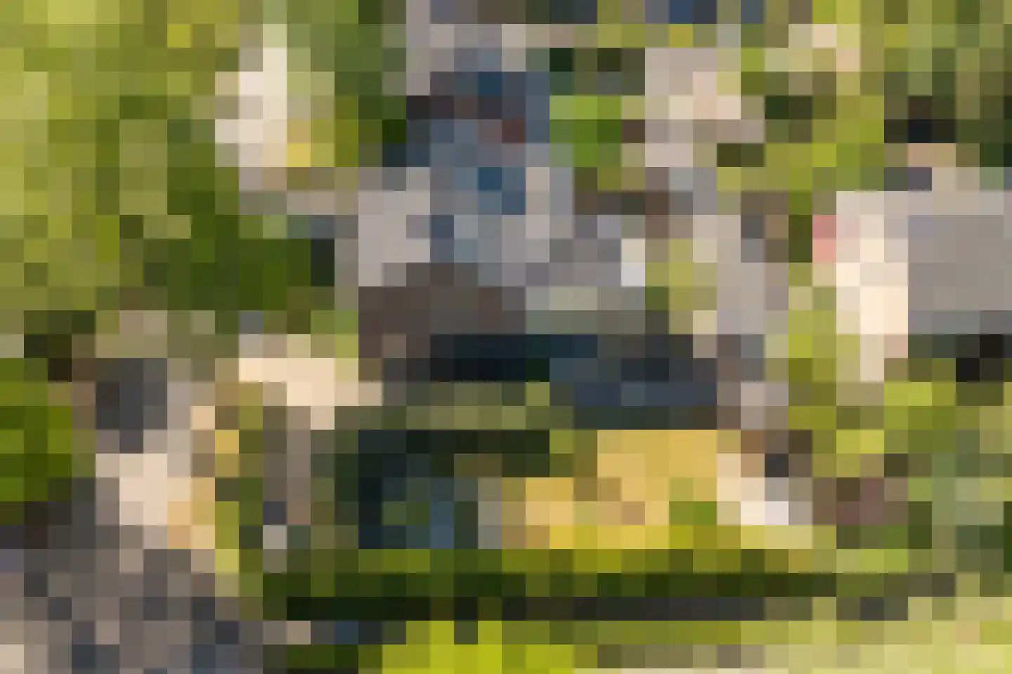 Kolklaan 39 Maarsbergen thumbnail 66