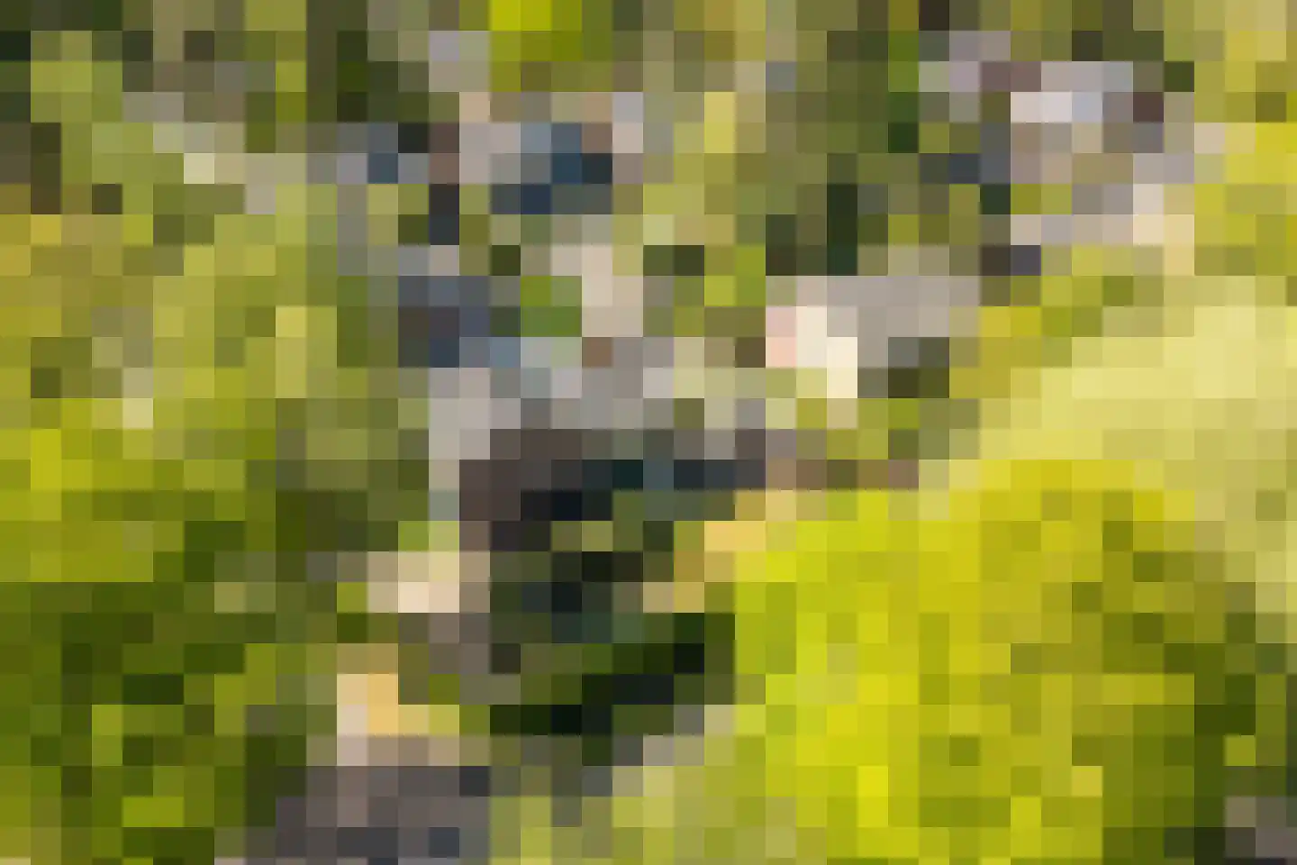 Kolklaan 39 Maarsbergen thumbnail 67